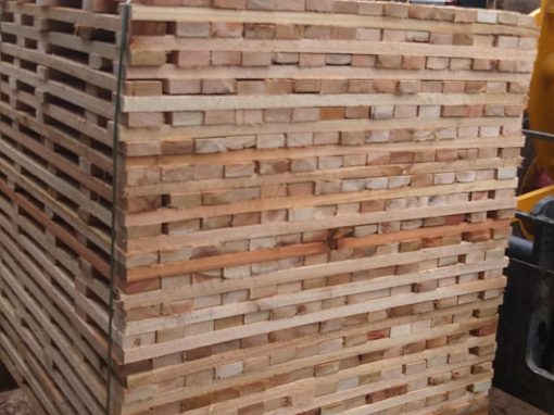 Eucalyptus lumber