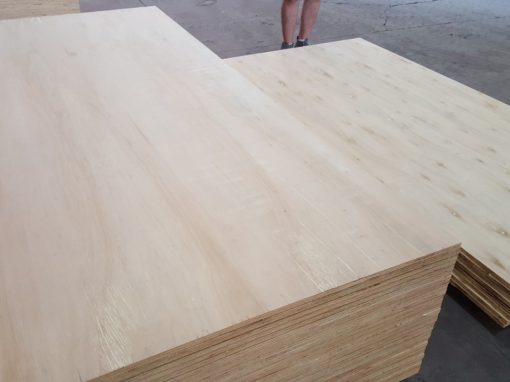 Eucalyptus Plywood B/C