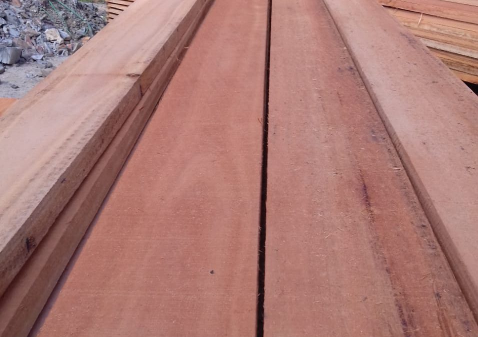 Eucalyptus lumber
