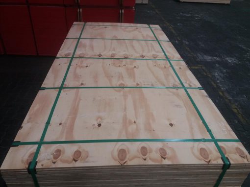 Pine plywood CDX